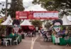 Festival da Primavera acontece em Acuruí este final de semana Festival da Primavera acontece em Acuruí este final de semana