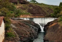São Gonçalo do Rio Abaixo lança site da Floresta Municipal de Peti São Gonçalo do Rio Abaixo lança site da Floresta Municipal de Peti