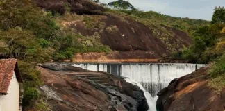 São Gonçalo do Rio Abaixo lança site da Floresta Municipal de Peti São Gonçalo do Rio Abaixo lança site da Floresta Municipal de Peti