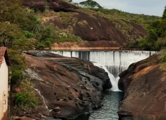 São Gonçalo do Rio Abaixo lança site da Floresta Municipal de Peti São Gonçalo do Rio Abaixo lança site da Floresta Municipal de Peti