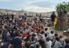 Dia da Árvore é celebrado com atividades ambientais em Monlevade Dia da Árvore é celebrado com atividades ambientais em Monlevade
