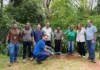 Codema participa de plantio de mudas em Monlevade Codema participa de plantio de mudas em Monlevade