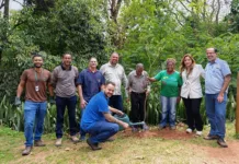 Codema participa de plantio de mudas em Monlevade Codema participa de plantio de mudas em Monlevade