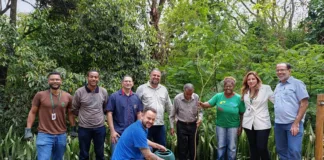 Codema participa de plantio de mudas em Monlevade Codema participa de plantio de mudas em Monlevade