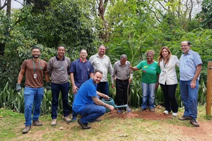 d337f73d3c6623fc9676e45bc064ea3e Codema participa de plantio de mudas em Monlevade