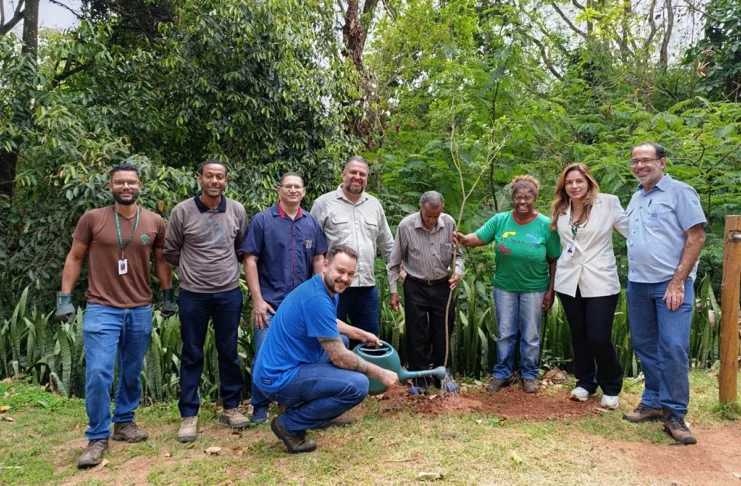 Codema participa de plantio de mudas em Monlevade Codema participa de plantio de mudas em Monlevade