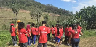 Bombeiros Mirins conhecem sistema agroflorestal em São Gonçalo do Rio Abaixo Bombeiros Mirins conhecem sistema agroflorestal em São Gonçalo do Rio Abaixo