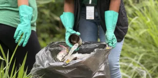 Mariana inicia mutirão de combate à dengue na próxima segunda-feira