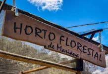 Mariana inaugura Viveiro Municipal Horto Florestal no bairro Dandara