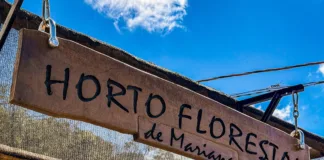Mariana inaugura Viveiro Municipal Horto Florestal no bairro Dandara Mariana inaugura Viveiro Municipal Horto Florestal no bairro Dandara