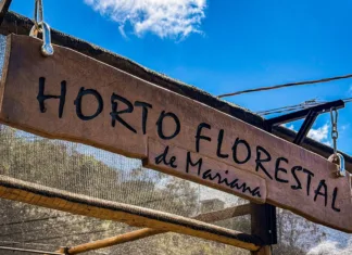Mariana inaugura Viveiro Municipal Horto Florestal no bairro Dandara Mariana inaugura Viveiro Municipal Horto Florestal no bairro Dandara