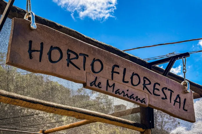 Mariana inaugura Viveiro Municipal Horto Florestal no bairro Dandara