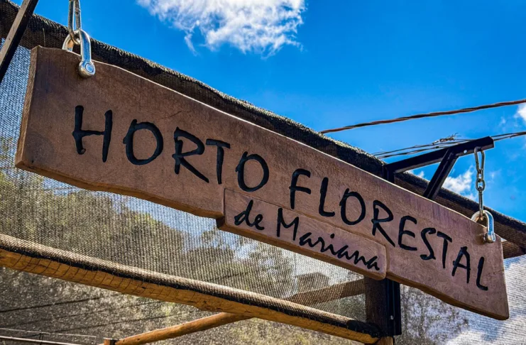 Mariana inaugura Viveiro Municipal Horto Florestal no bairro Dandara Mariana inaugura Viveiro Municipal Horto Florestal no bairro Dandara